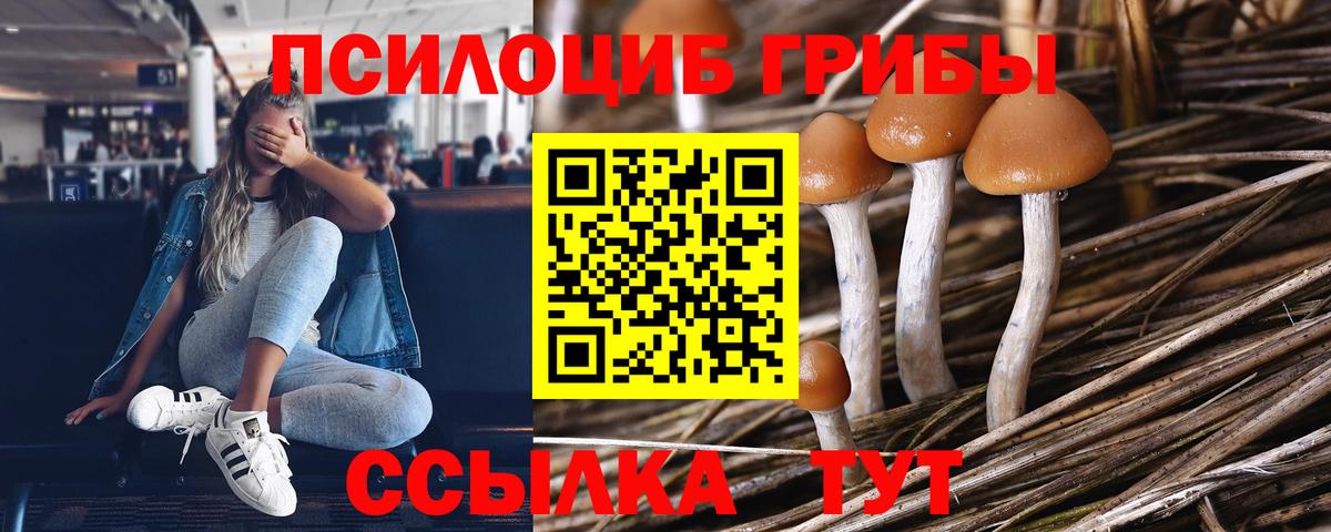 Псилоцибиновые грибы ЛСД Воткинск